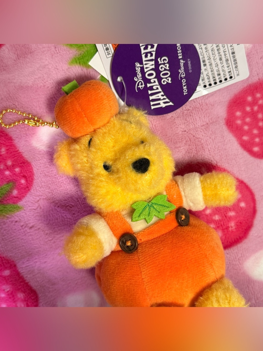 Tokyo Disney Resort Halloween Winnie the Pooh Pumpkin Plush Keychain Japan - Picture 2 of 8
